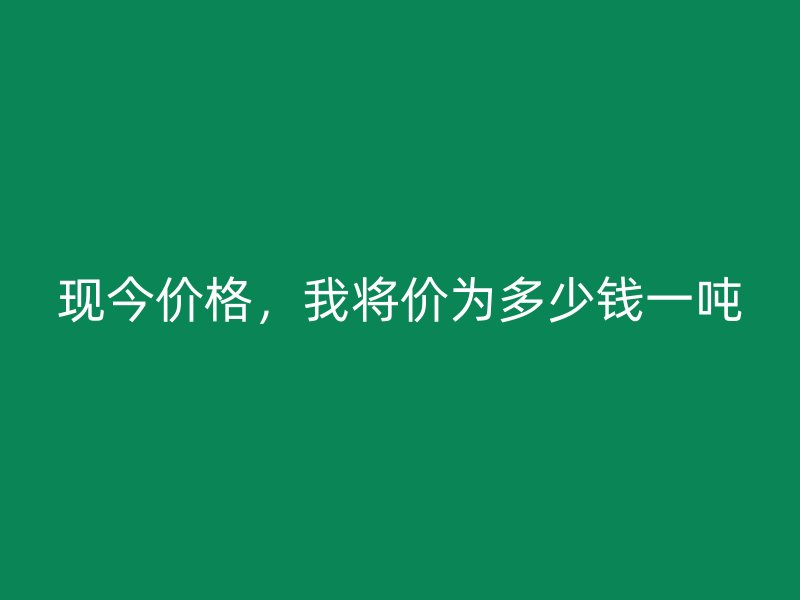 現今價格，我將價為多少錢一噸