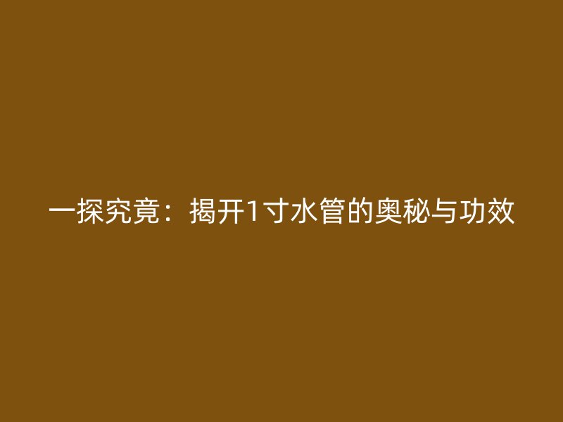 一探究竟：揭開1寸水管的奧秘與功效