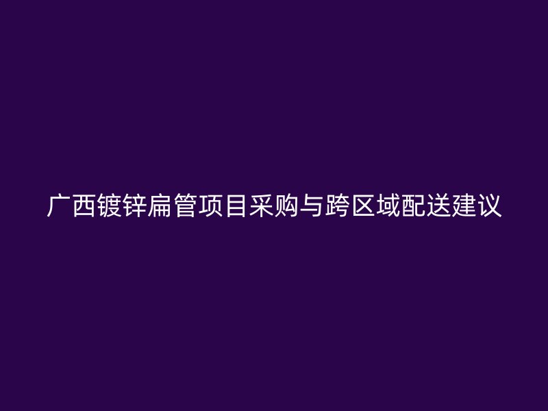 廣西鍍鋅扁管項目采購與跨區(qū)域配送建議